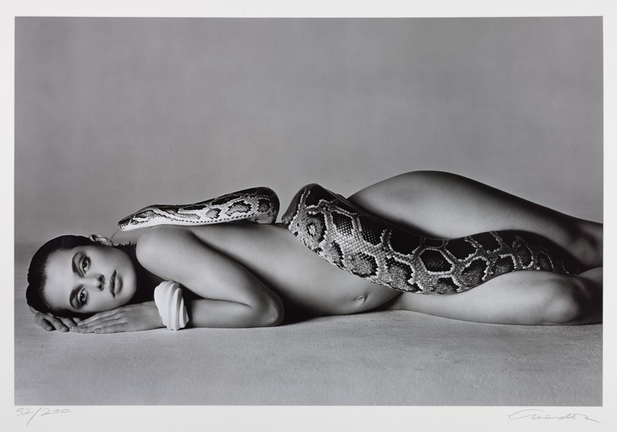 HDP 19. Nastassja Kinski and the serpent/ R. AVEDON : le portrait